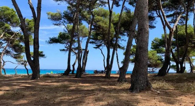 Апартаменты New Apartment CALA VARQUES 100 mts from Canyamel Beach POOL CHILL-OUT TERRACE WITH AWESOME VIEWS