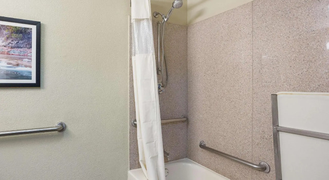 Двухместный номер Standard La Quinta by Wyndham New Braunfels