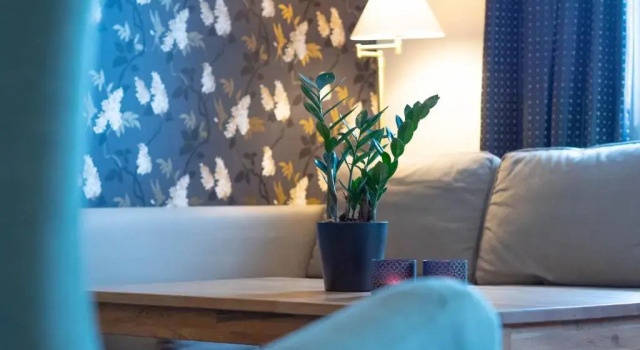 Björkbackens Karaktärshotell - Sweden Hotels, Varaa Hotelli Vimmerby Kalmari