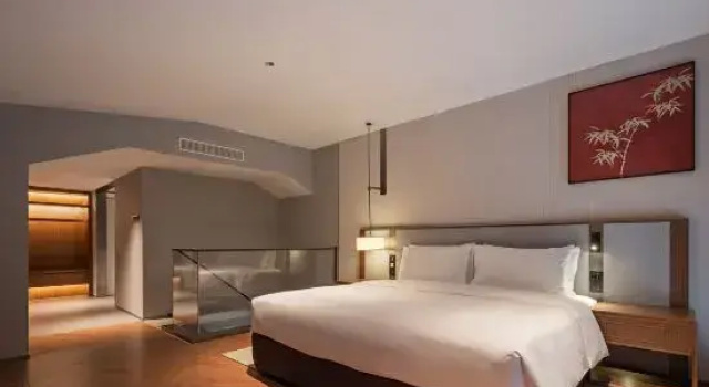 Люкс Deluxe Yuemei Hot  Spring Holiday Hotel Anji