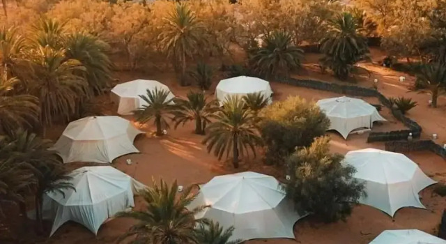 Номер Deluxe Hotel Pansy