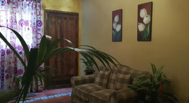 Студия Standard El Oasis Canario