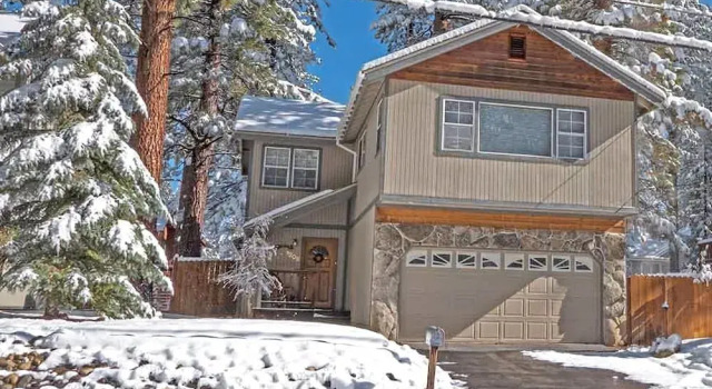 1209 Golden Bear By Redawning