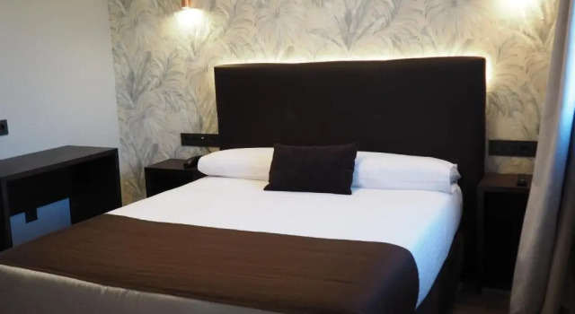 Двухместный номер Superior Hotel Junquera