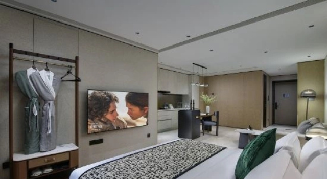 Люкс ALLIA Platinum Executive Suite Hotel