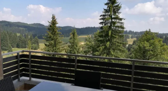Апартаменты Silver Mountain G1 43