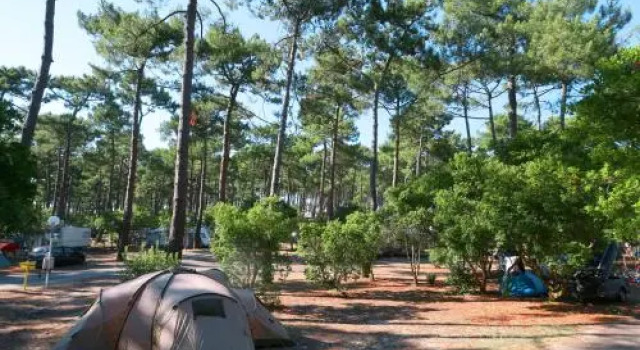 Camping Campole Plage Sud, Забронировать Кемпинг Отели Côte landaise с бассейном, Бассейн