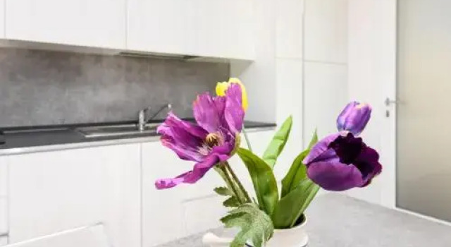 Appartamento Susy in Villa Collins, Забронировать Апартаменты/квартира Тиньяле озеро Гарда