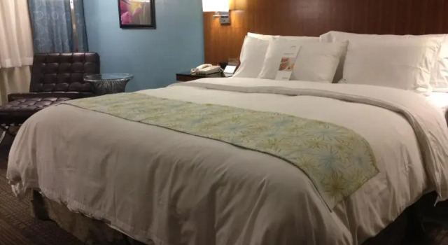 Номер Standard DoubleTree by Hilton Chatsworth