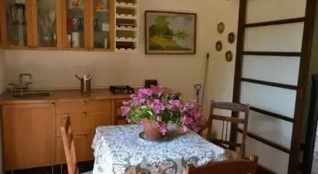 Casale delle Mimose