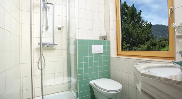 Двухместный номер Standard Berghof Mitterberg