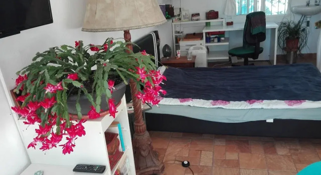 Casa Kimbo