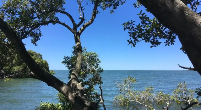 Коттедж Absolute Waterfront
