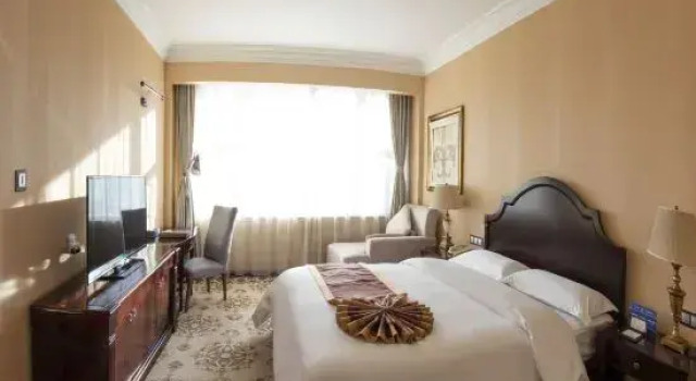 Suite Premier APOLLO