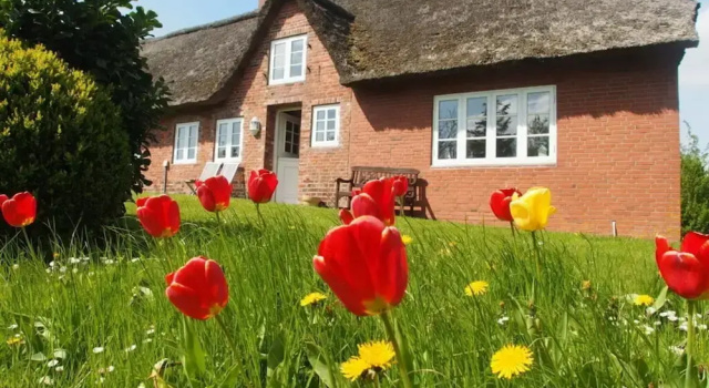Апартаменты Holiday Home Ockholm