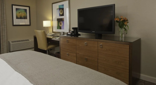 Люкс Accessible DoubleTree by Hilton Pittsburgh-Green Tree