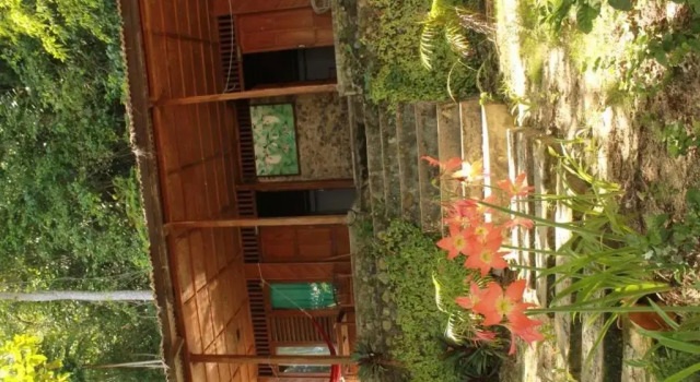 Бунгало Standard Kadidiri Paradise