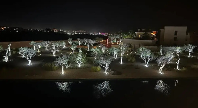 Апартаменты Brand new San Jose Condo