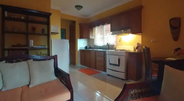 Cozy 1-bedroom-apartment Just 5 Minutes From Zona Colonial, Book Lejlighed Zona Colonial 