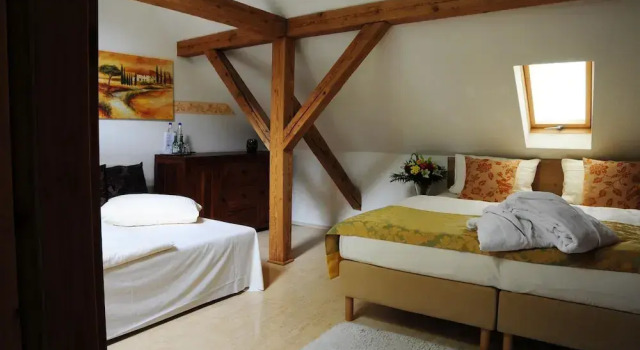 Трёхместный номер Standard Hotel Schlossresidenz Heitzenhofen