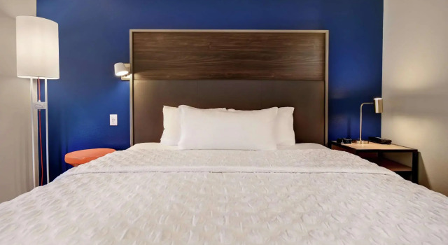 Двухместный номер Standard Tru By Hilton Denver South Park Meadows, Co
