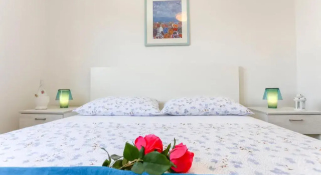 Апартаменты c 1 комнатой Guest House Kovacevic