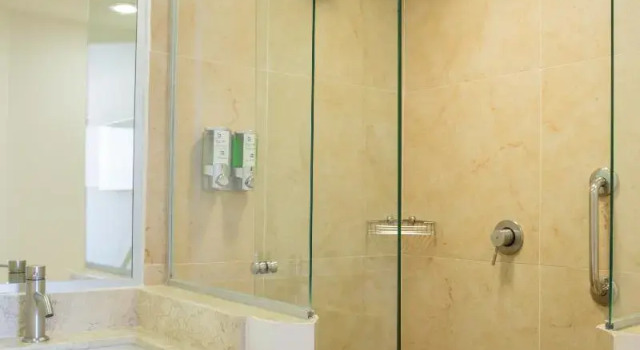 Двухместный номер Standard One Guadalajara Expo