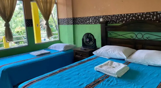 Номер Economy Hotel Pinocchio