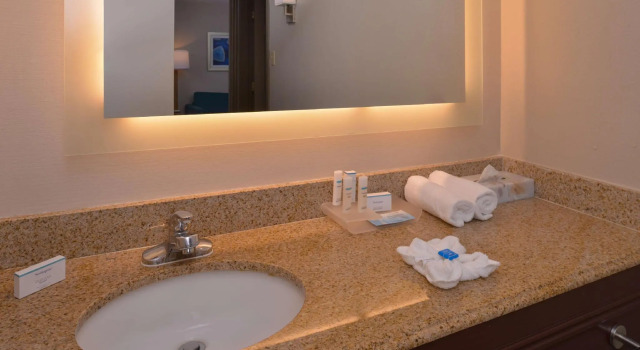 Четырёхместный люкс c 1 комнатой Homewood Suites by Hilton Dallas-Lewisville
