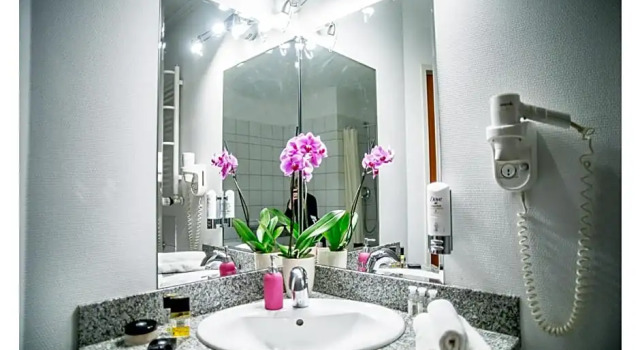Номер Standard Hotel Fenix