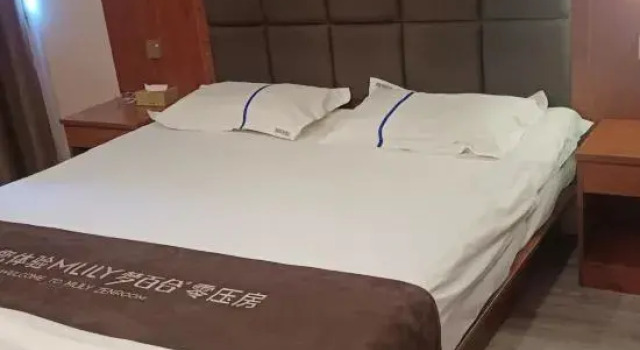 Xinzheng Black Panther Business Hotel (Golden Avenue Black Panther Logistics Park), Book Hotel Zhengzhou Henan