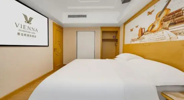 Люкс Vienna International Hotel (Xi'an North Railway Station)