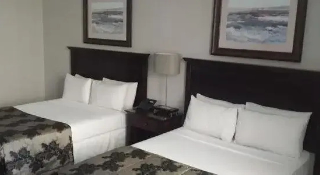 Номер Standard Welkom Inn