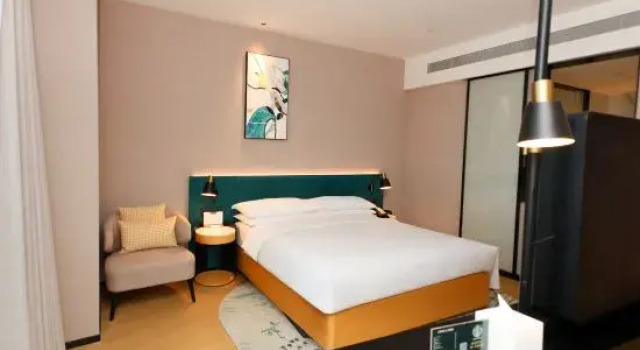 Номер Standard Hilton Garden Inn Xuzhou Pengcheng Square