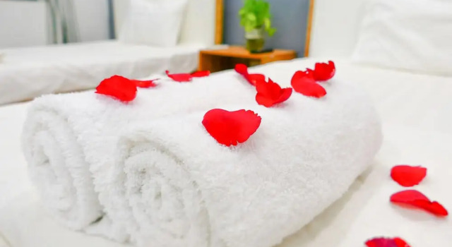 T P Luxury House, Boek Appartementenhotel Aparthotels in Da Nang, Appartementenhotel