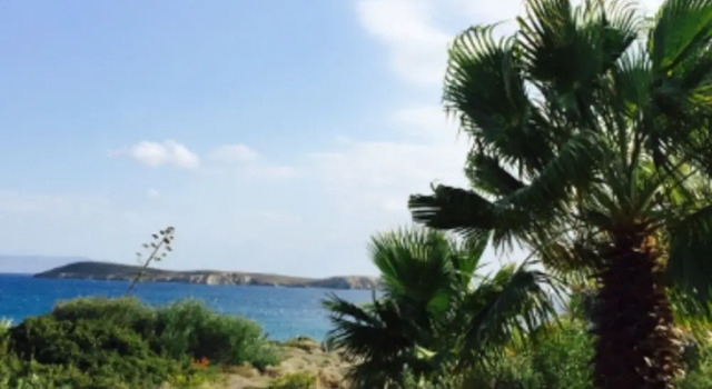 House With 2 Rooms in Drios, With Wonderful sea View, Furnished Garden