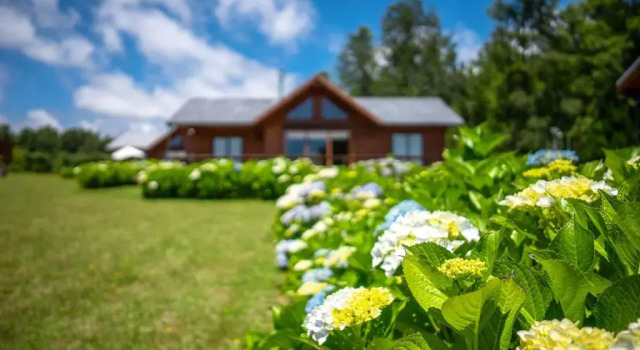 Коттедж с 3 комнатами Cabañas Copayapu