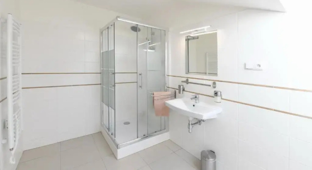 Двухместный номер Economy Hotel Švýcarský dům