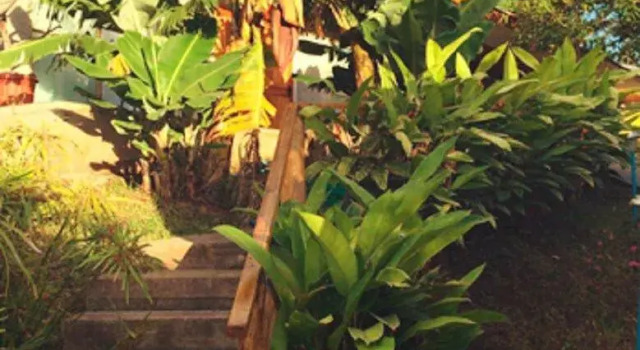 Mangai Rapa Nui - Hostel, Prenota Ostello Ostelli a Hanga Roa, Ostello