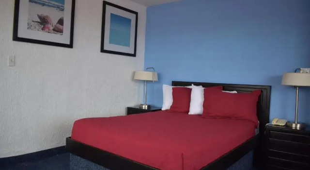 Номер Standard Hotel Mediterraneo