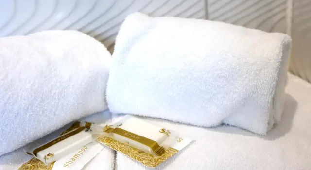 Двухместный номер Economy Hotel Phenix