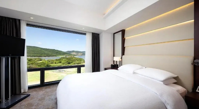 Двухместный люкс Executive Premium Hilton Gyeongju