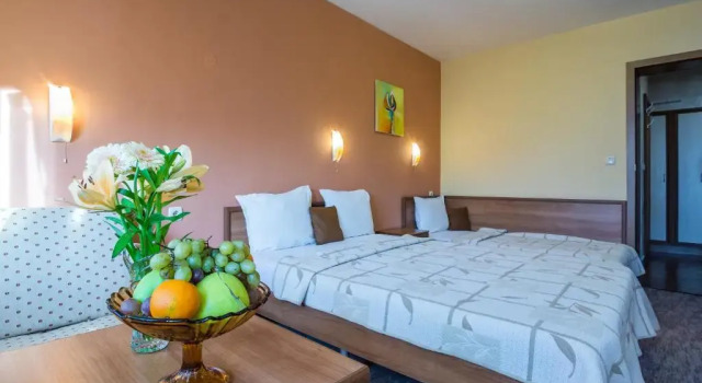 Номер Standard Boutique Guest House IKONOMOV