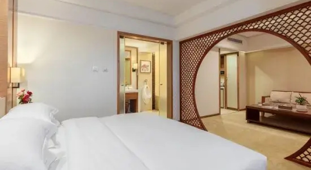 Люкс Business Pu'er Peony Holiday Inn