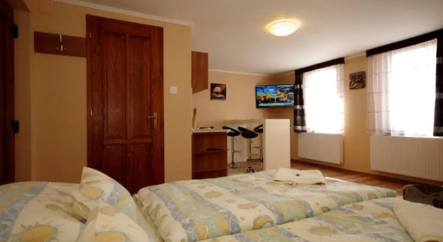Апартаменты c 1 комнатой Gyulai Brill Apartman