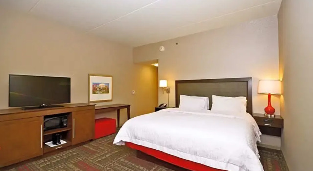 Studio Hampton Inn Pulaski