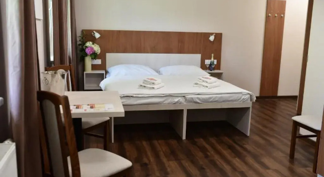 Номер Standard Wellness Hotel Bozeňov