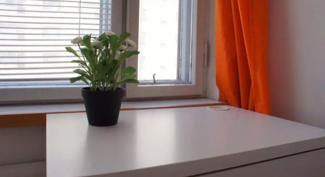 Номер Standard SweetDream Guesthouse