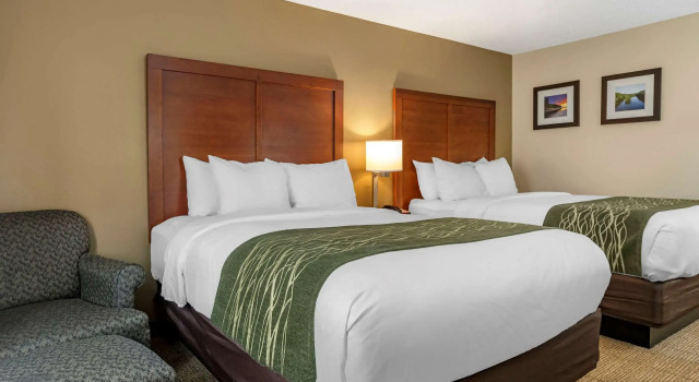 Четырёхместный номер Standard Comfort Inn & Suites Dimondale - Lansing