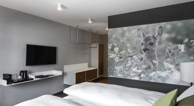 Номер Standard Hotel Mischun